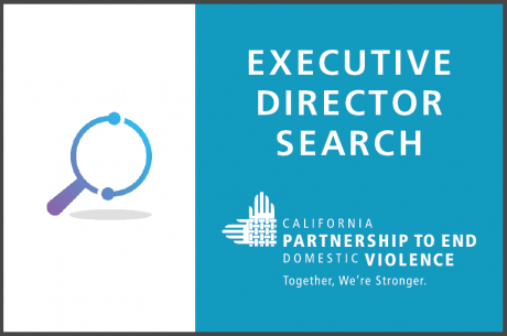 A purple and blue magnifying glass is to the left, with the following text in white against a blue background: "Executive Director Search." The Partnership's logo in white is beneath.