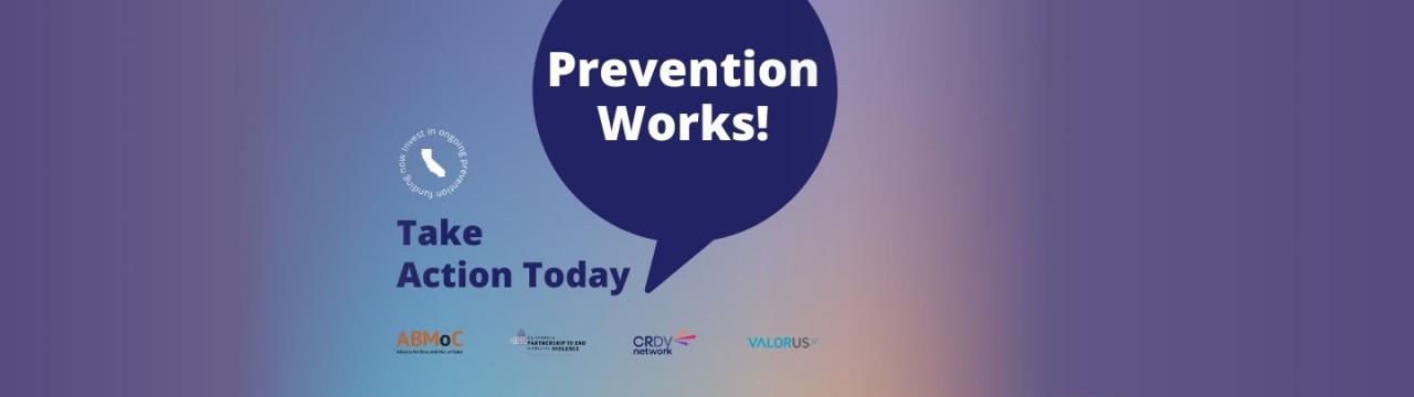 Speech bubble that reads "Prevention works!". On left is text that says "take action today". Below are logos for the Alliance for Boys and Men of Color, California Partnership to End Domestic violence, Culturally Responsive Domestic Violence Network, and VALOR