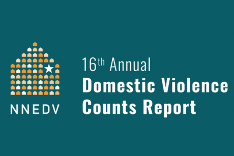 Against a deep teal background, the NNEDV logo is to the left. In the center is white text reading "16th Annual Domestic Violence Counts Report".